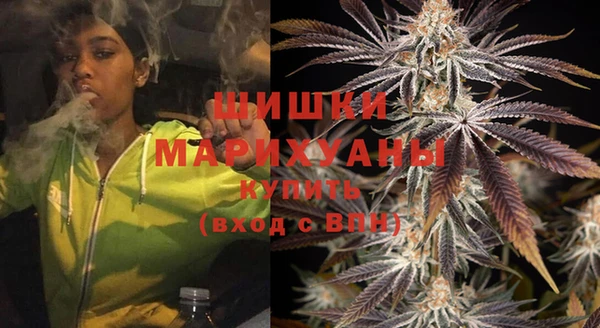 бошки Ладушкин