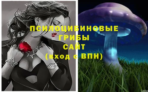 а пвп мука Лабытнанги