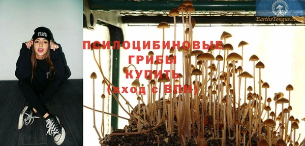 а пвп мука Лабытнанги