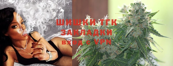 бошки Ладушкин