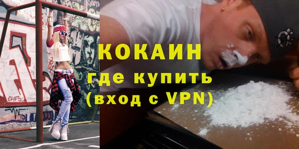 бошки Ладушкин