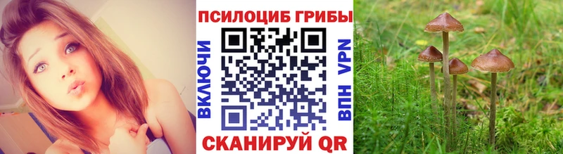Галлюциногенные грибы ЛСД  Купить где  Камбарка 